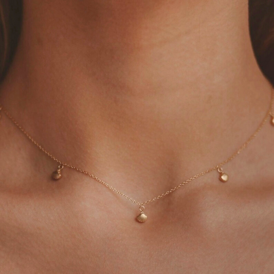 Seashell Necklace